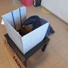Thema recht op: verkiezingen leerlingenraad