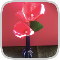 Ik heb 3 bloemen in een vaas ...