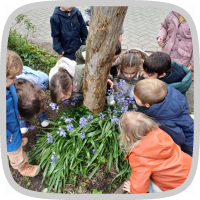 In de tuin - bloemen voor mama