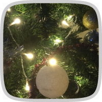 Kerst en Nieuw