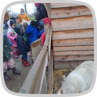 Op stap naar de kinderboerderij 'De Campagne' in Drongen